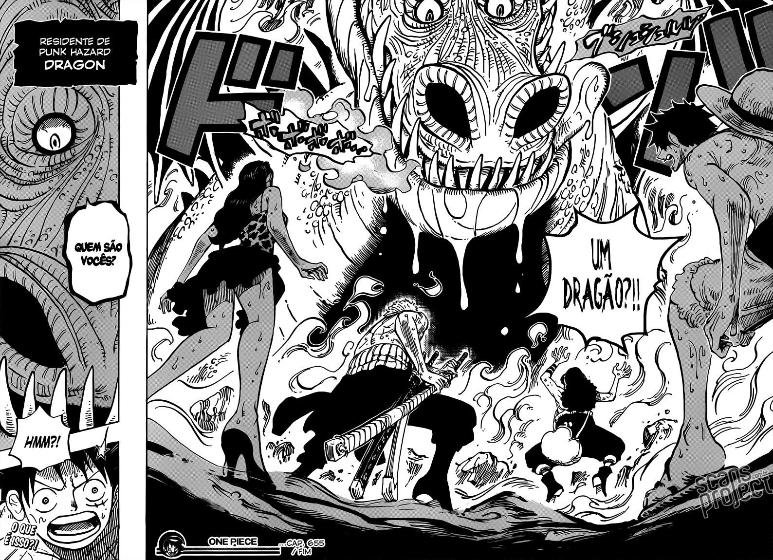 One Piece capítulo 655 página 19