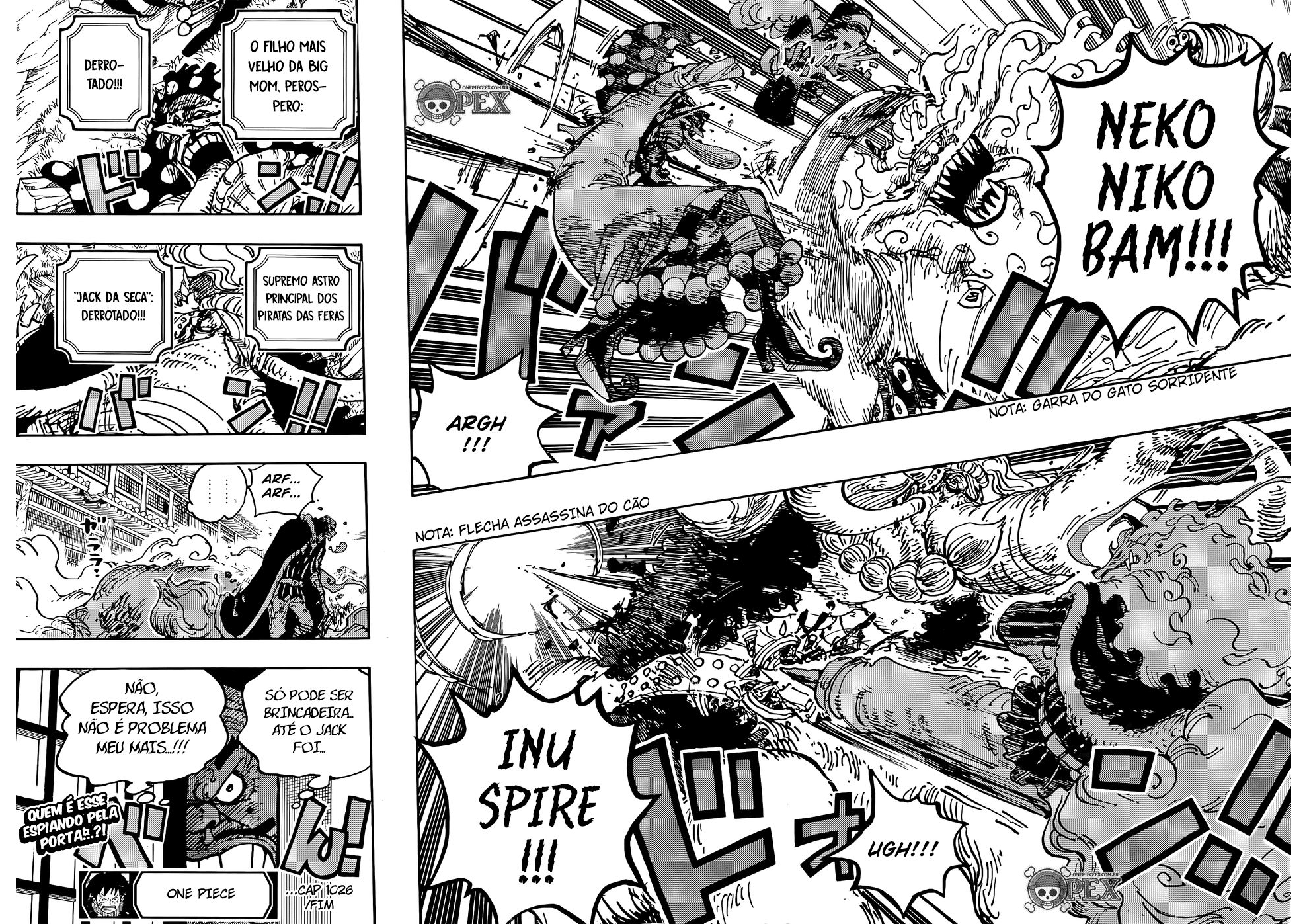 One Piece capítulo 1026 página 14