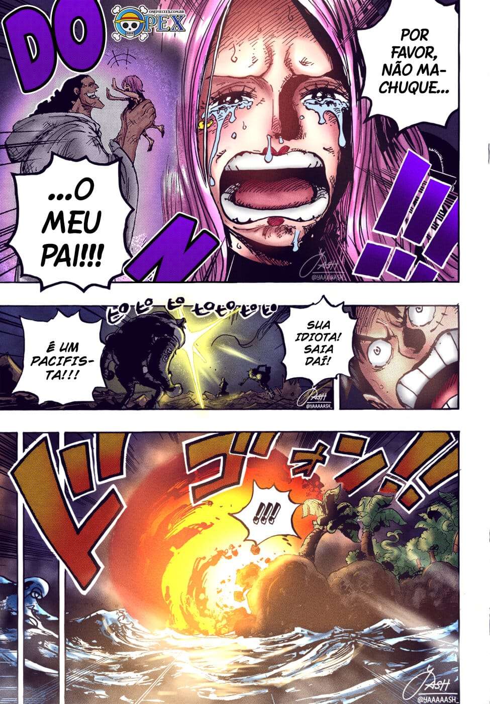 One Piece capítulo 1063 página 13