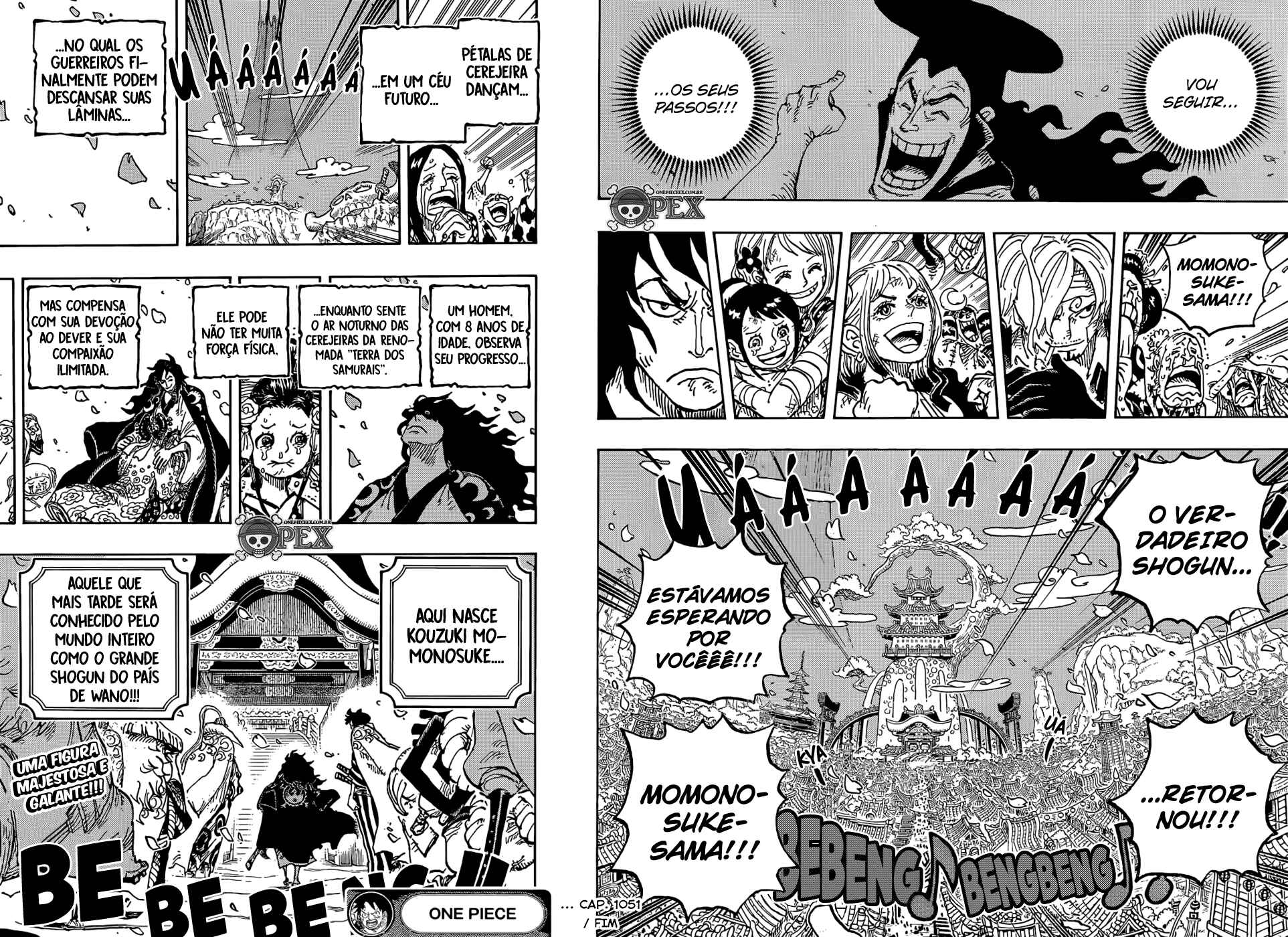 One Piece capítulo 1051 página 15
