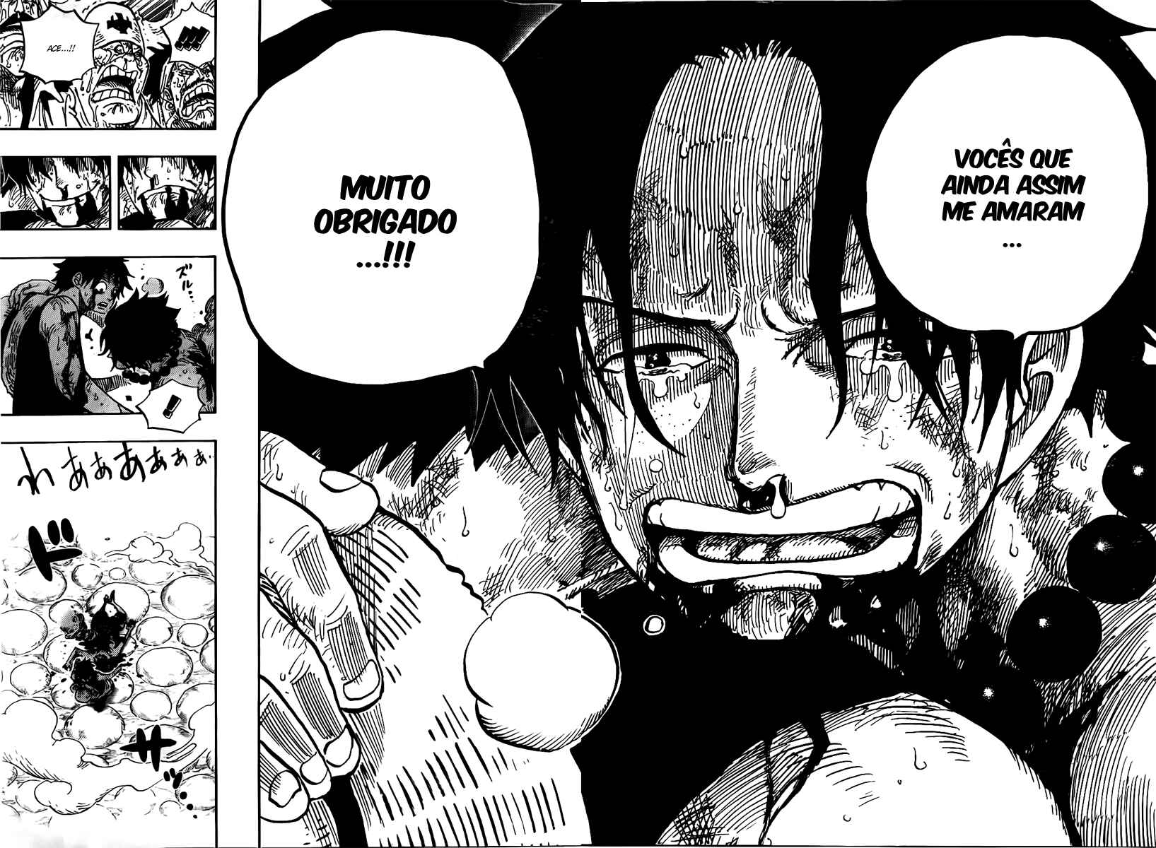 One Piece capítulo 574 página 14