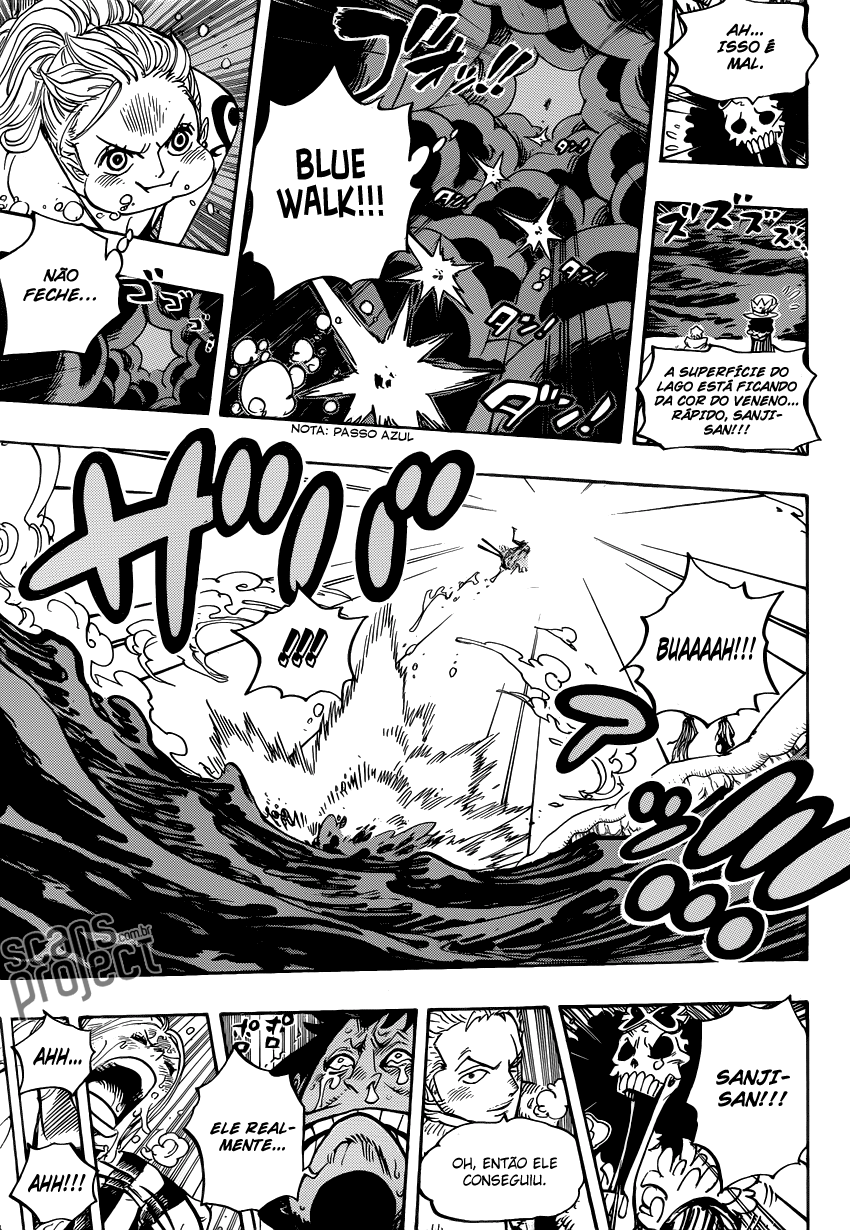 One Piece capítulo 672 página 14