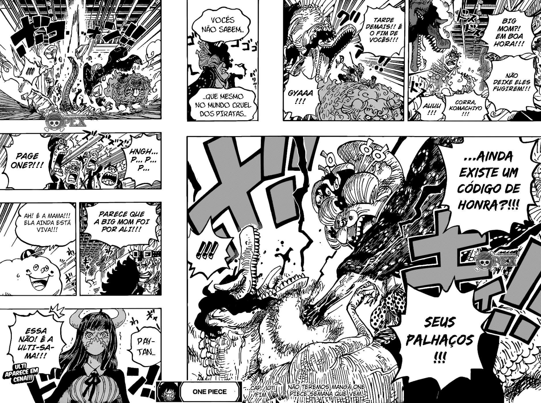 One Piece capítulo 1011 página 18