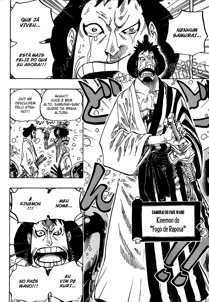 One Piece capítulo 672 página 15
