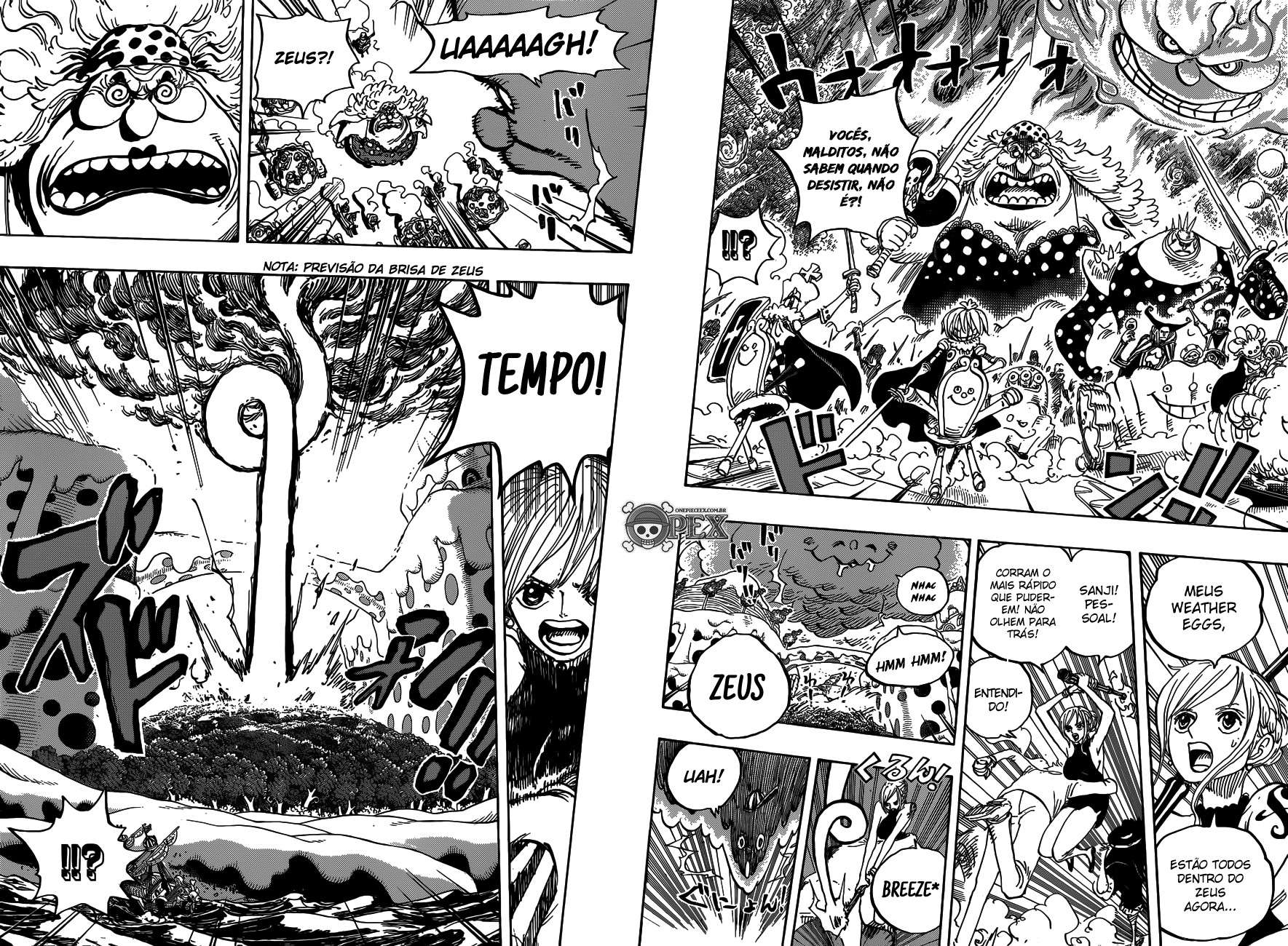 One Piece capítulo 875 página 12
