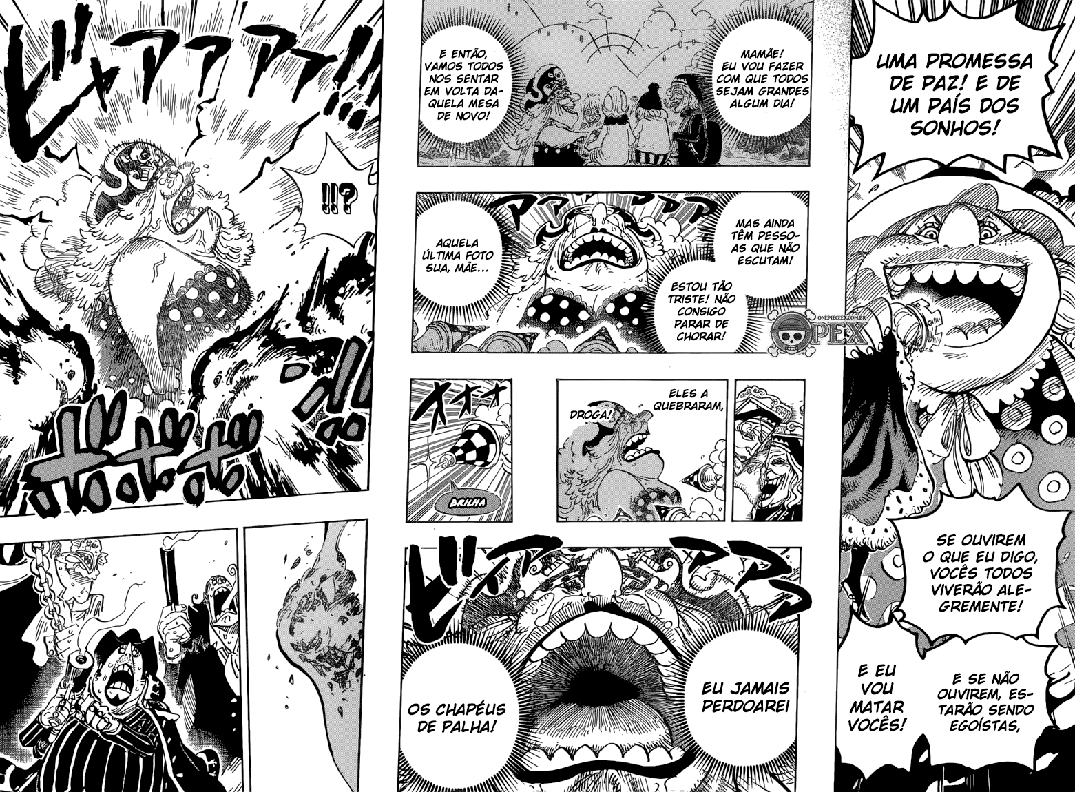 One Piece capítulo 868 página 10