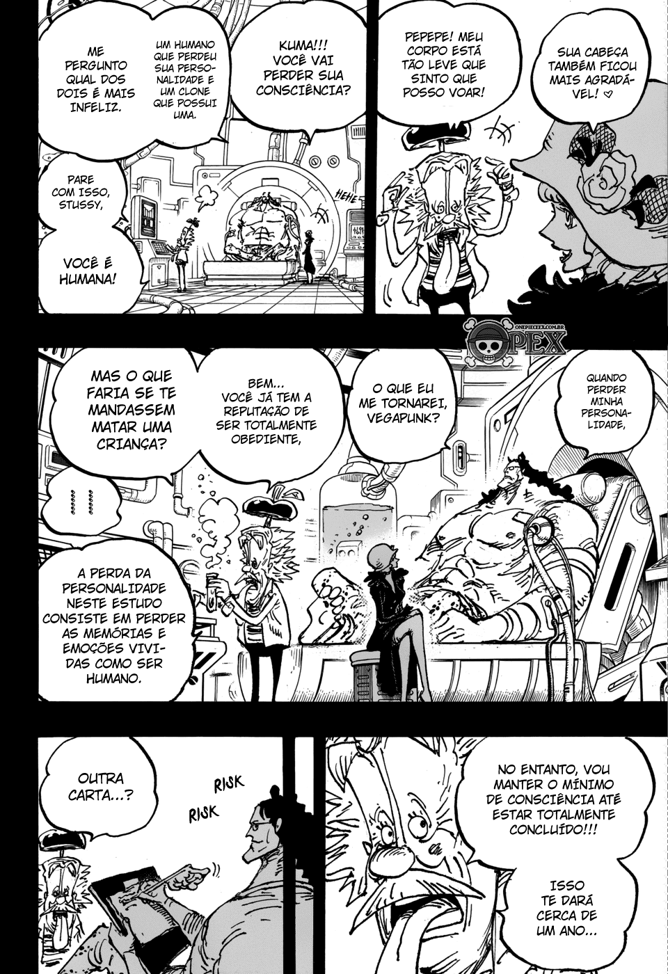 One Piece capítulo 1101 página 10