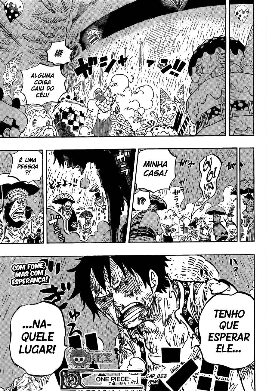 One Piece capítulo 853 página 15