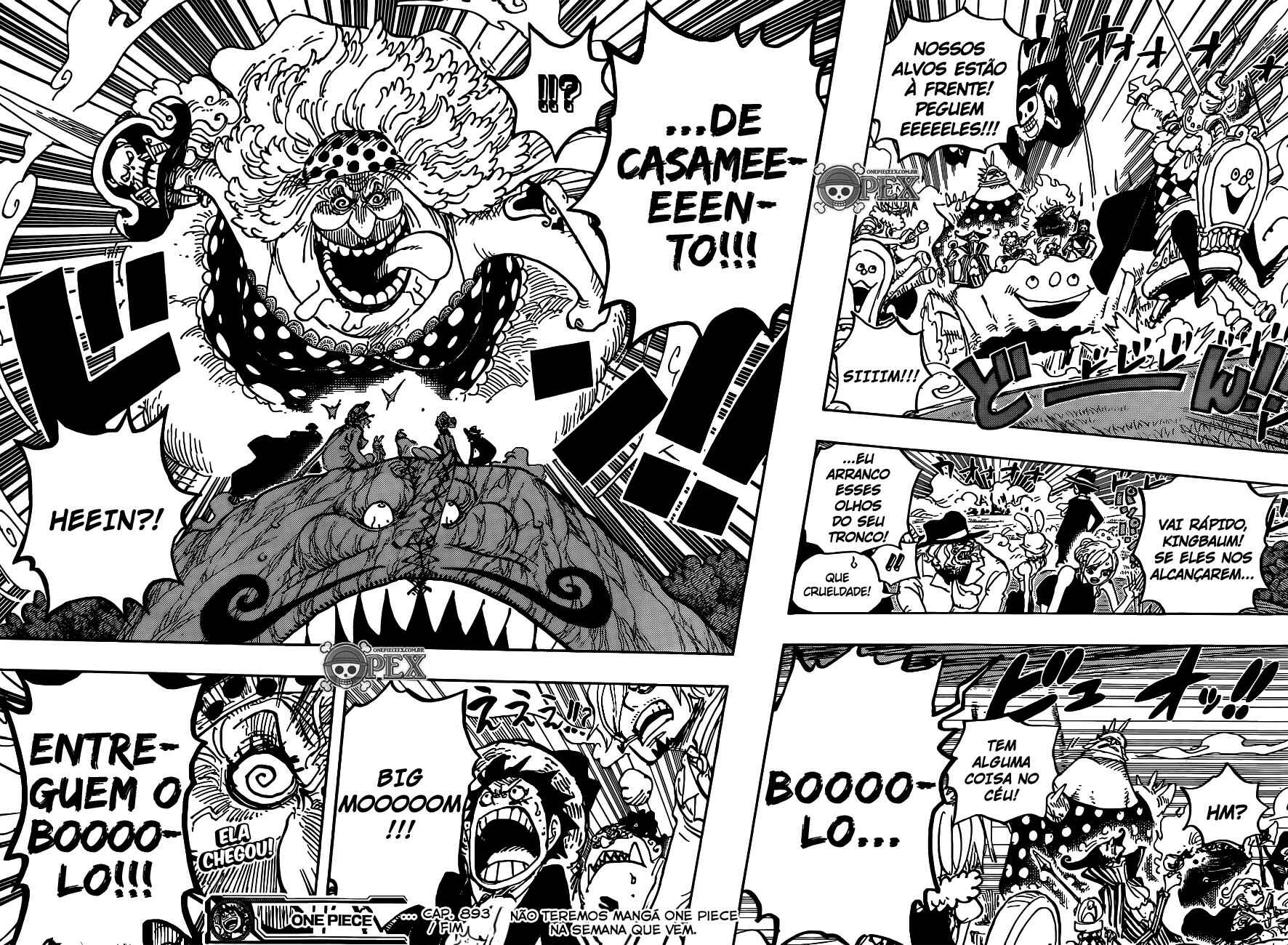 One Piece capítulo 873 página 15