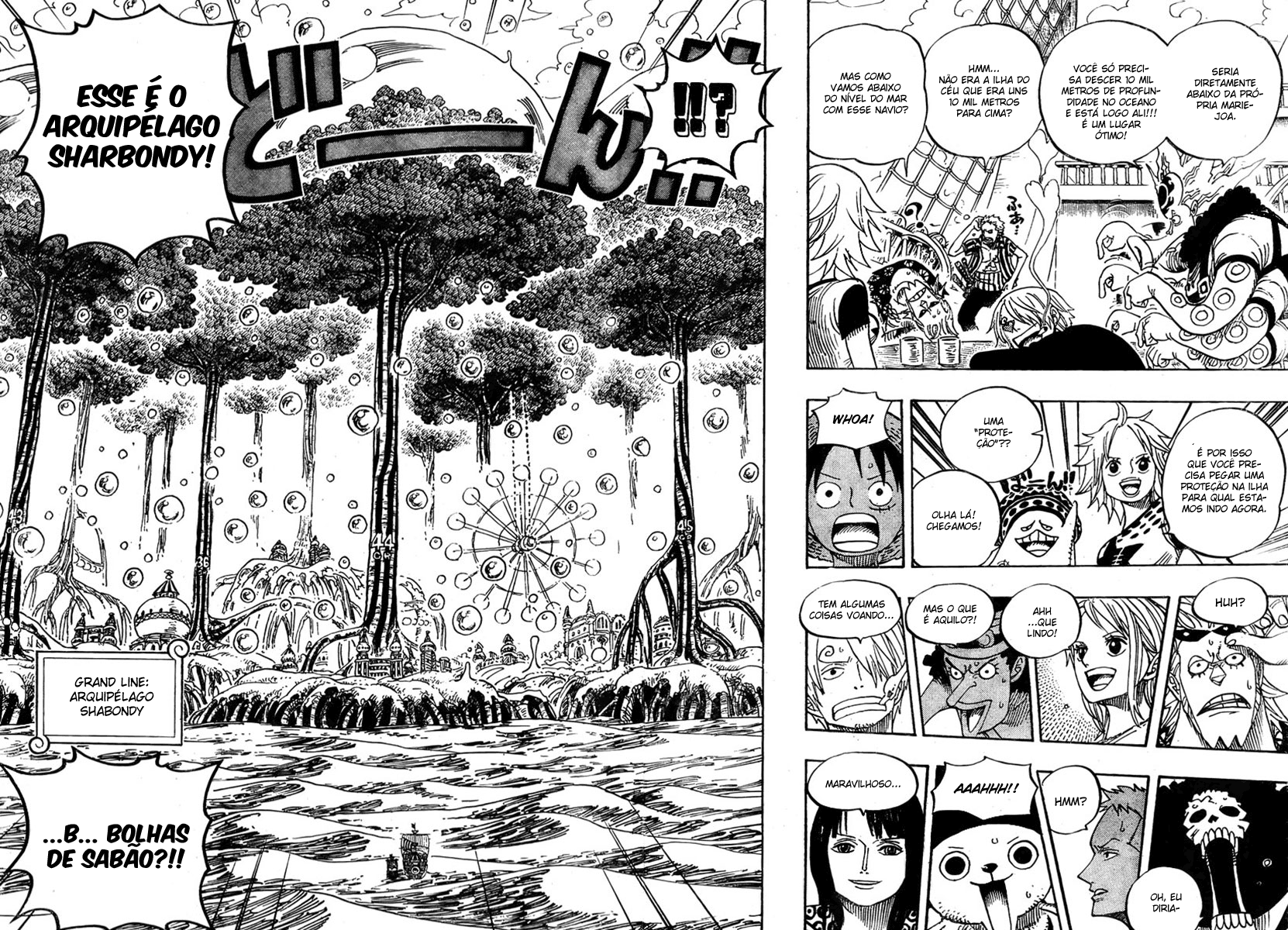 One Piece capítulo 496 página 12