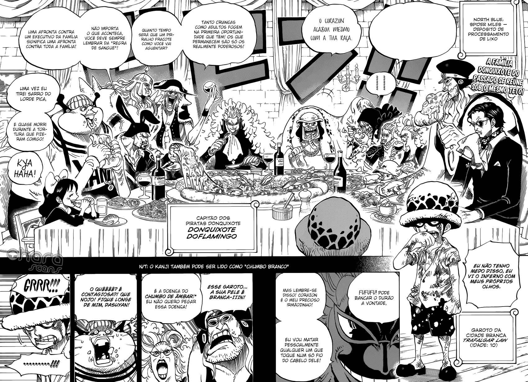 One Piece capítulo 762 página 3