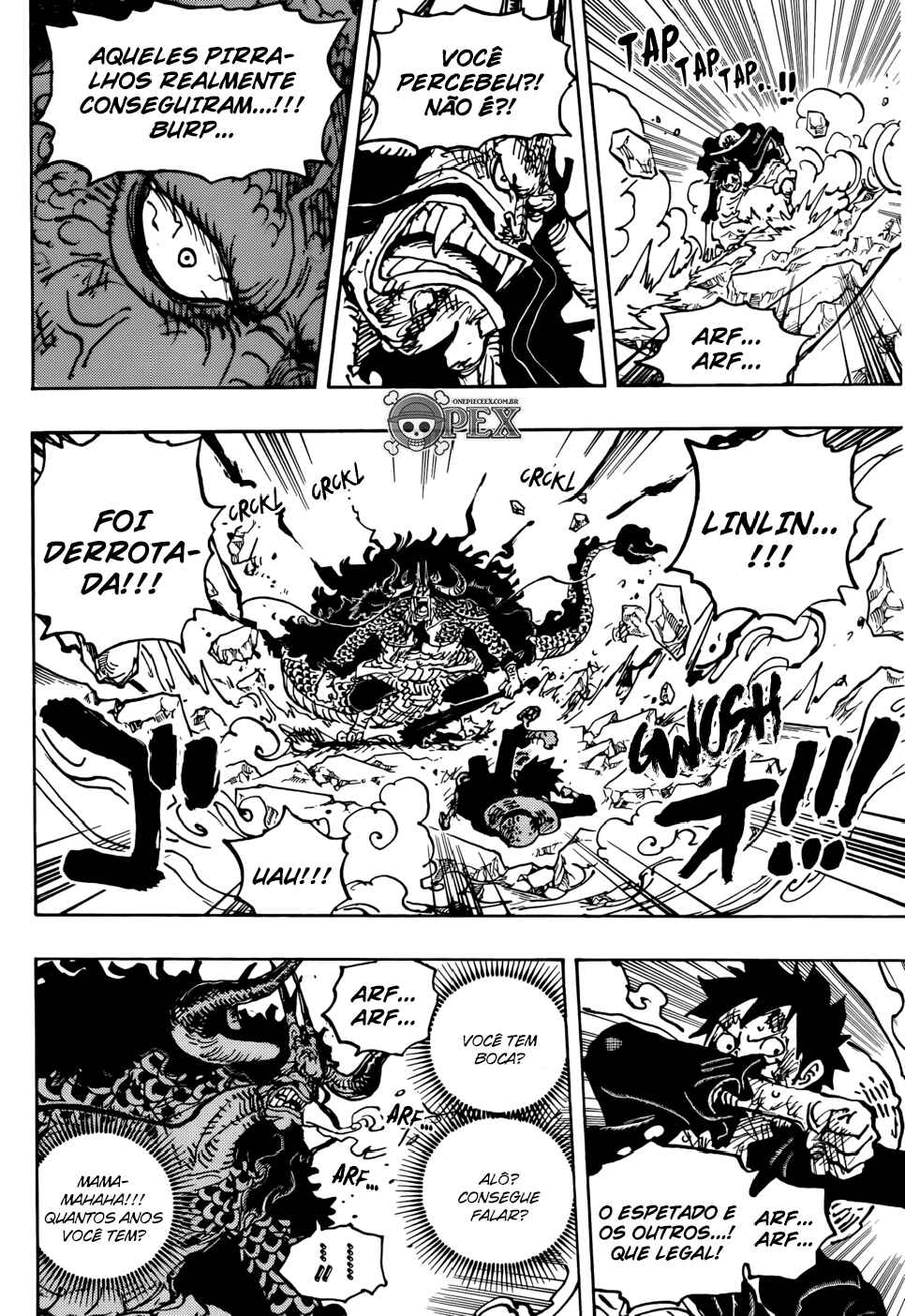 One Piece capítulo 1041 página 14