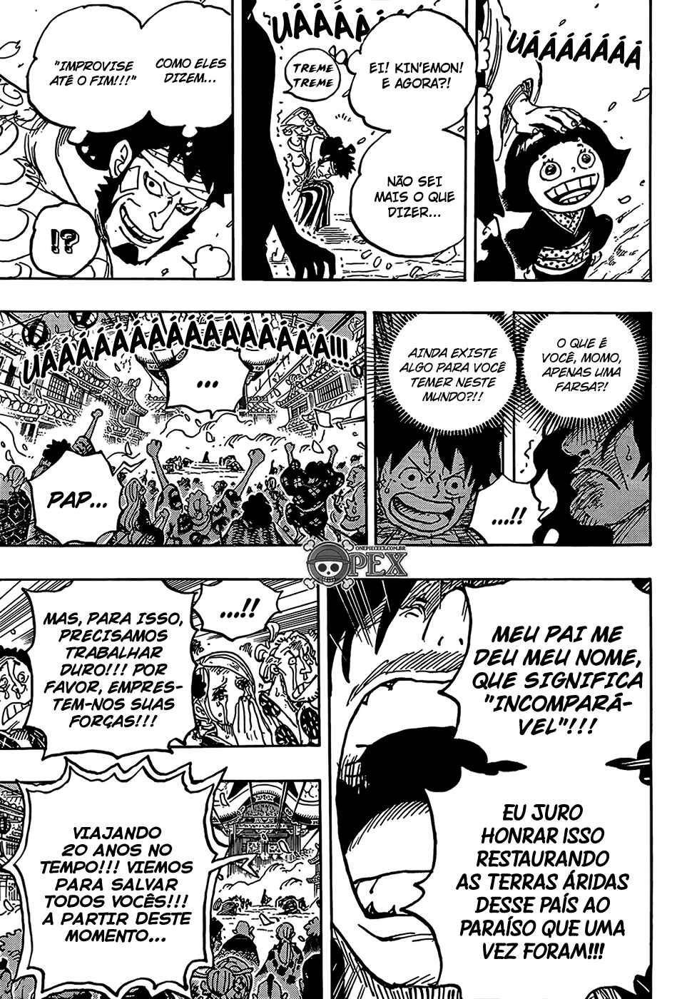 One Piece capítulo 1051 página 13