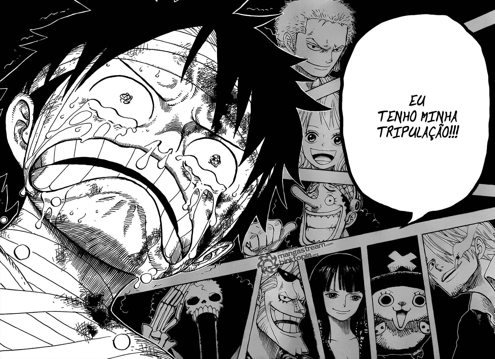 One Piece capítulo 590 página 17