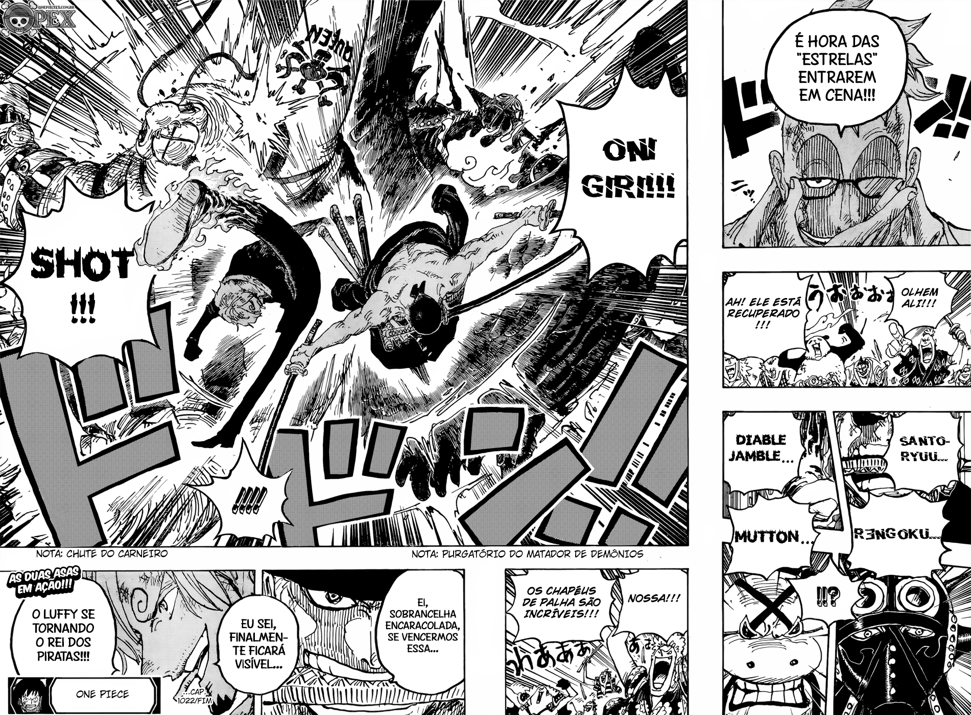 One Piece capítulo 1022 página 15