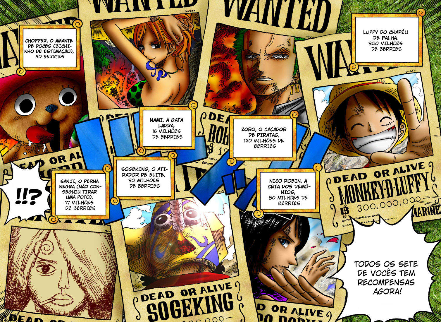 One Piece capítulo 435 página 17