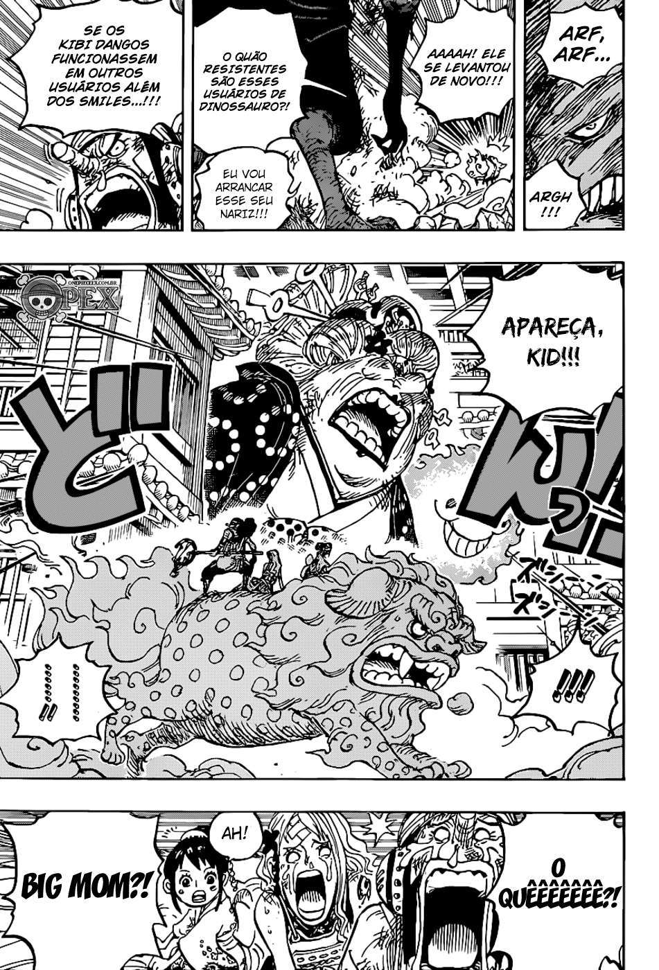 One Piece capítulo 1011 página 15