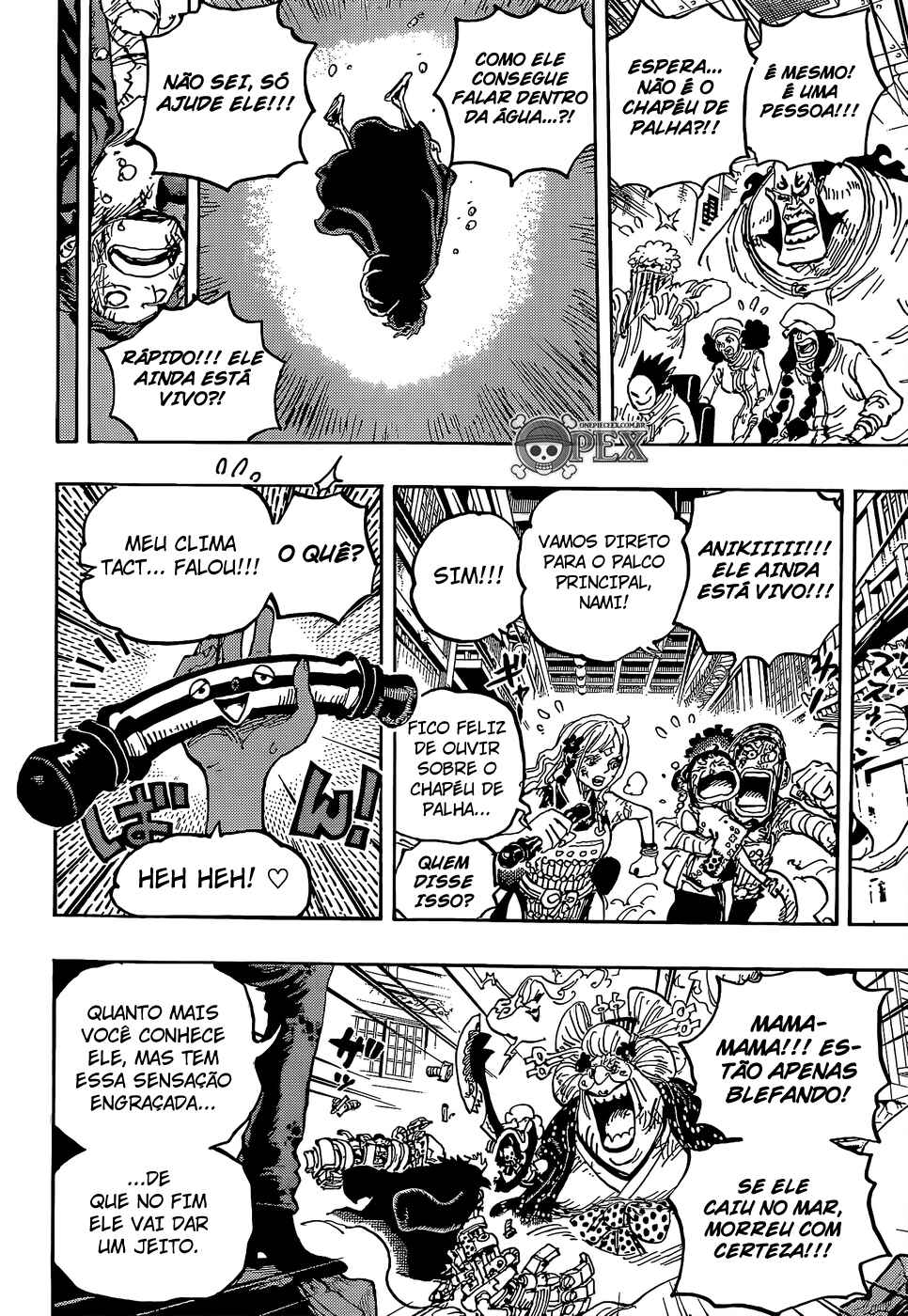 One Piece capítulo 1015 página 14