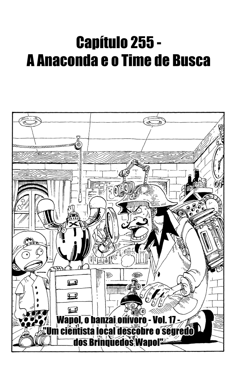 One Piece capítulo 255 página 1