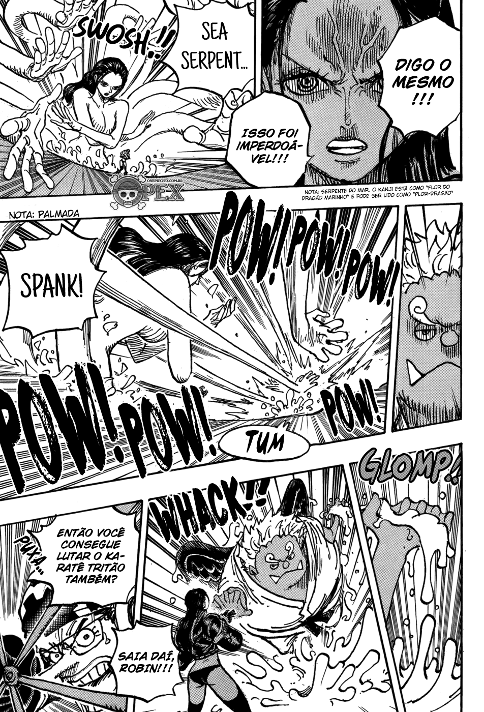 One Piece capítulo 1065 página 10