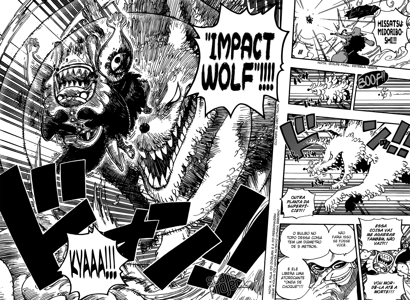 One Piece capítulo 646 página 8