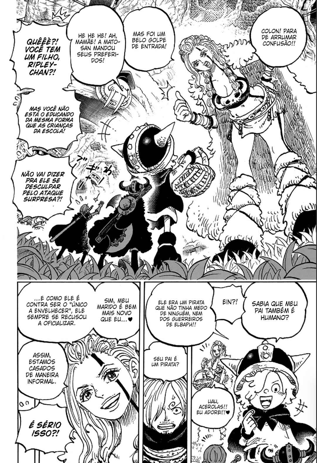 One Piece capítulo 1135 página 10