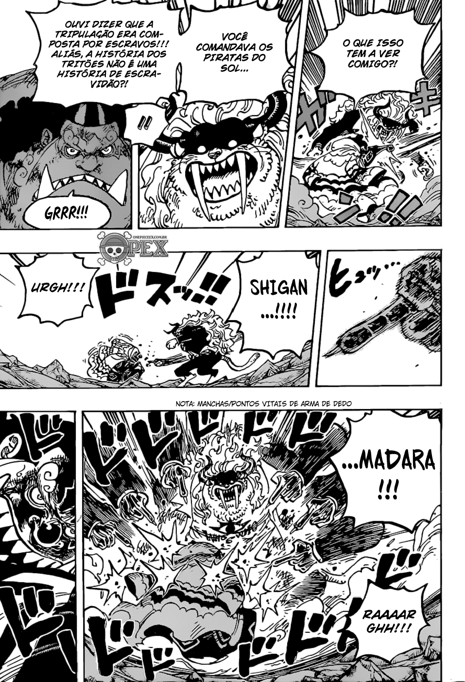 One Piece capítulo 1018 página 13