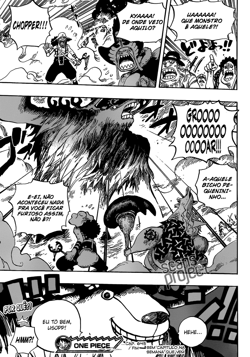 One Piece capítulo 645 página 18