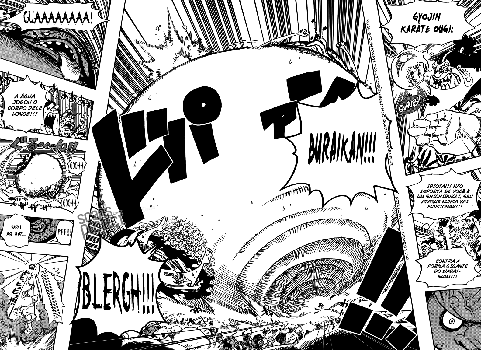 One Piece capítulo 646 página 11