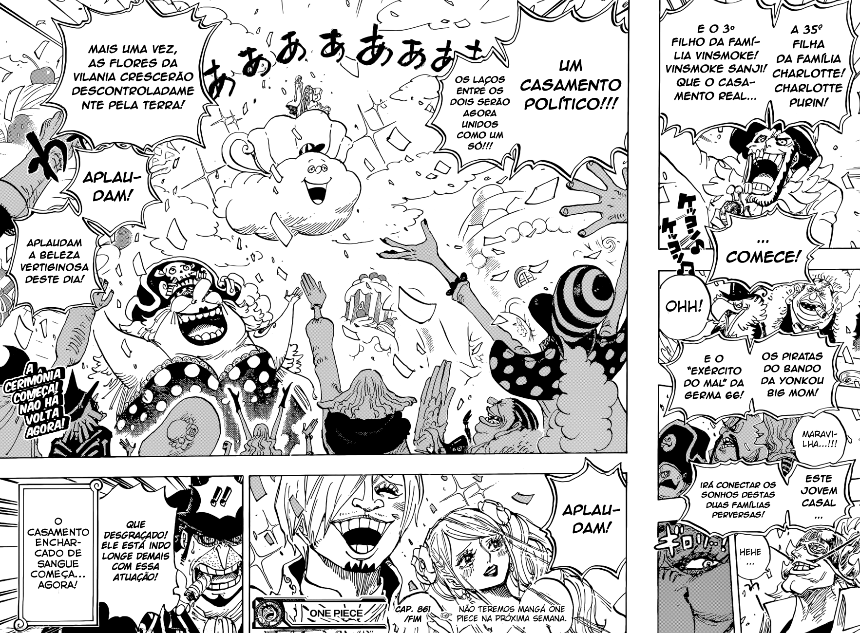 One Piece capítulo 861 página 16