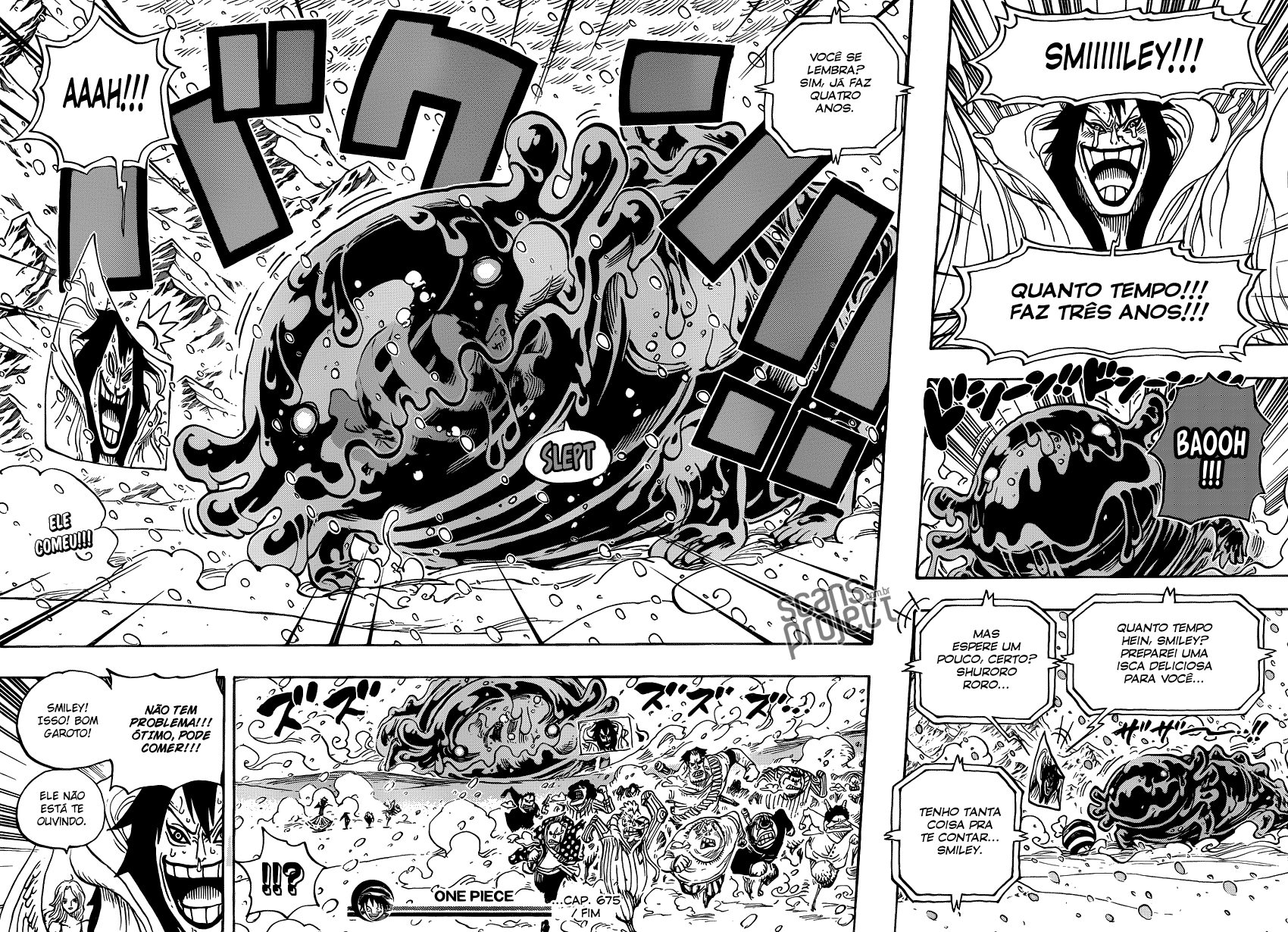 One Piece capítulo 675 página 19