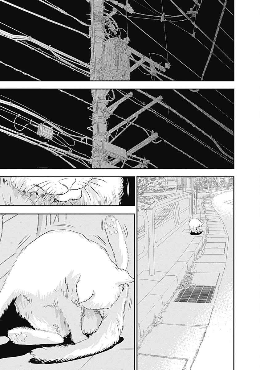 Minamoto-kun Monogatari capítulo 203 página 10