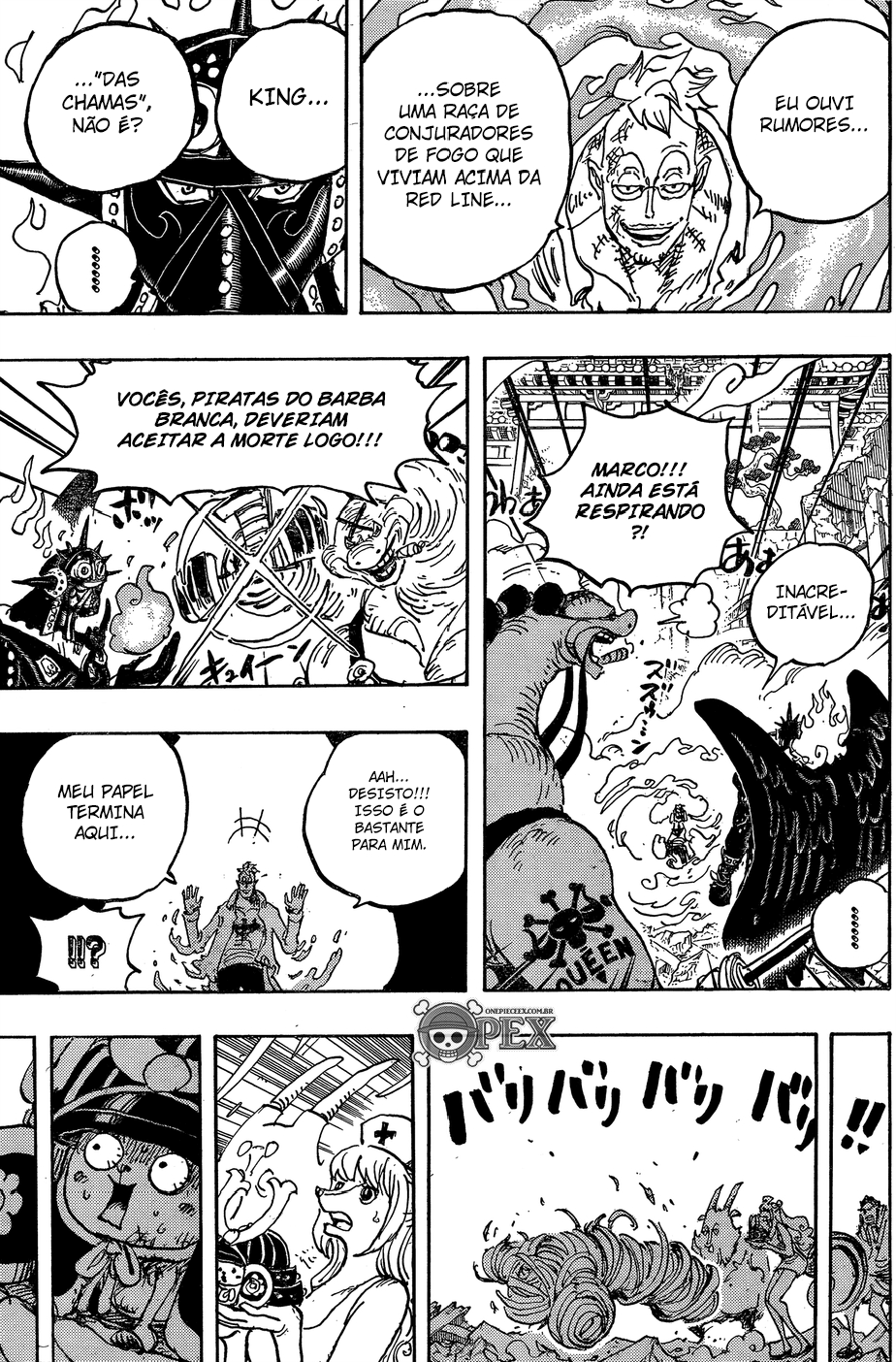 One Piece capítulo 1022 página 14
