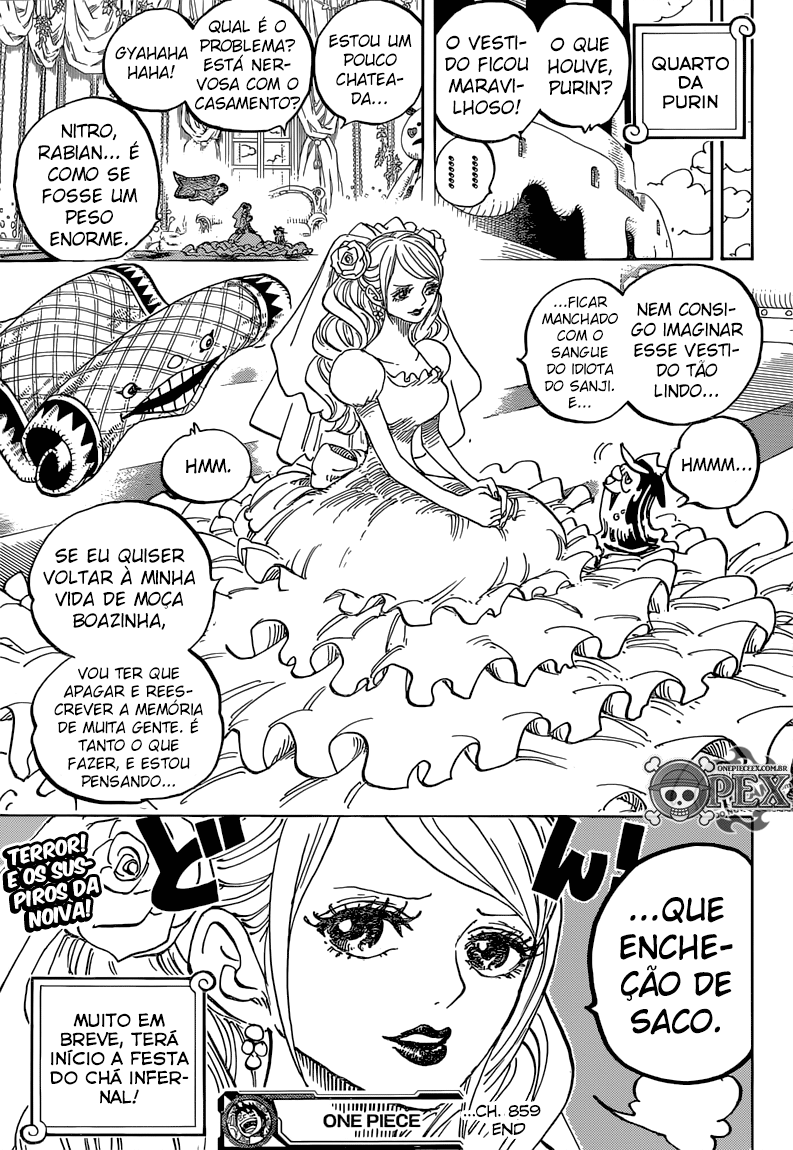 One Piece capítulo 859 página 17