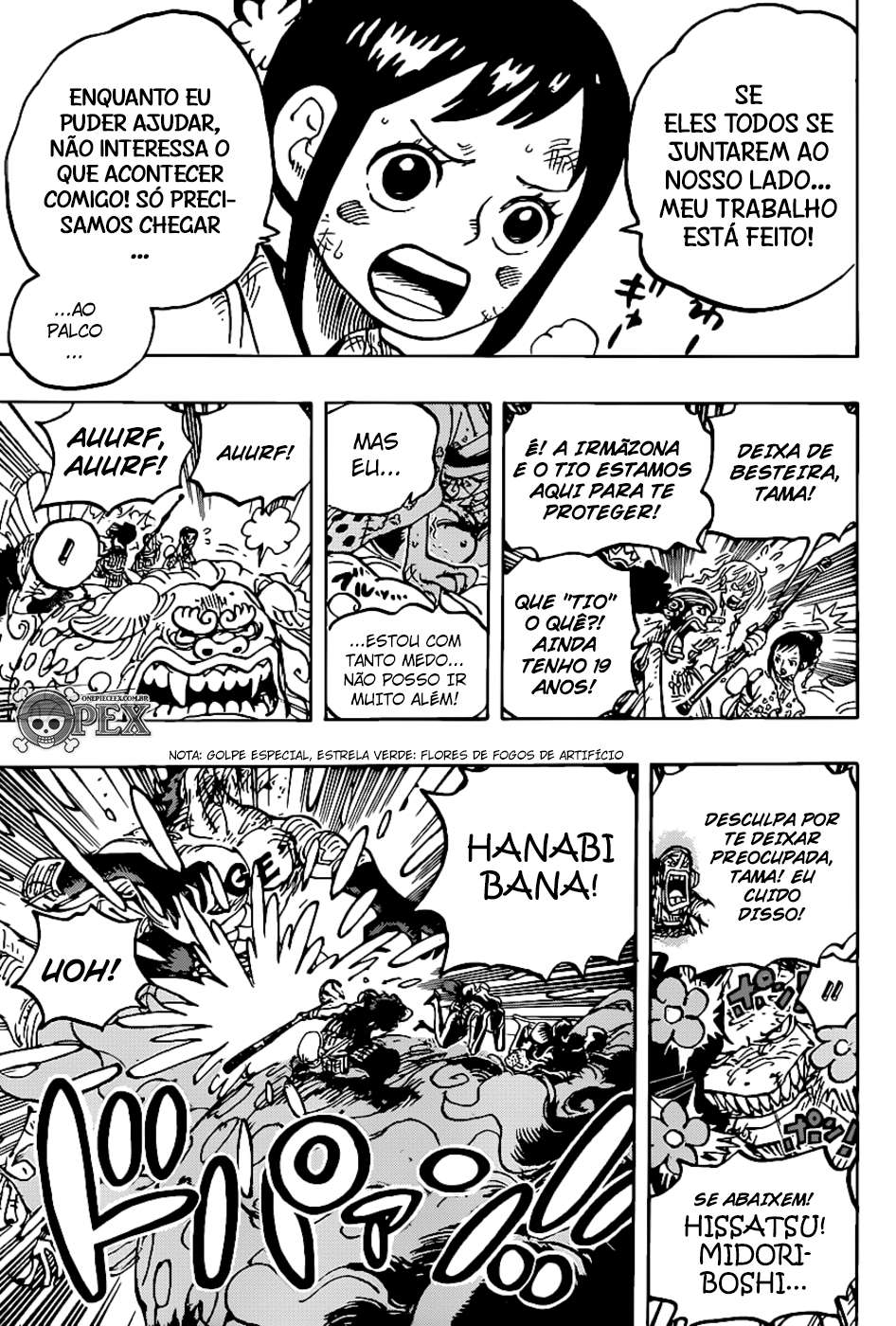 One Piece capítulo 1011 página 13
