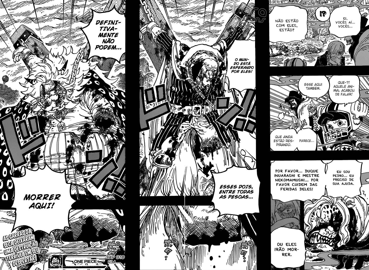 One Piece capítulo 810 página 17