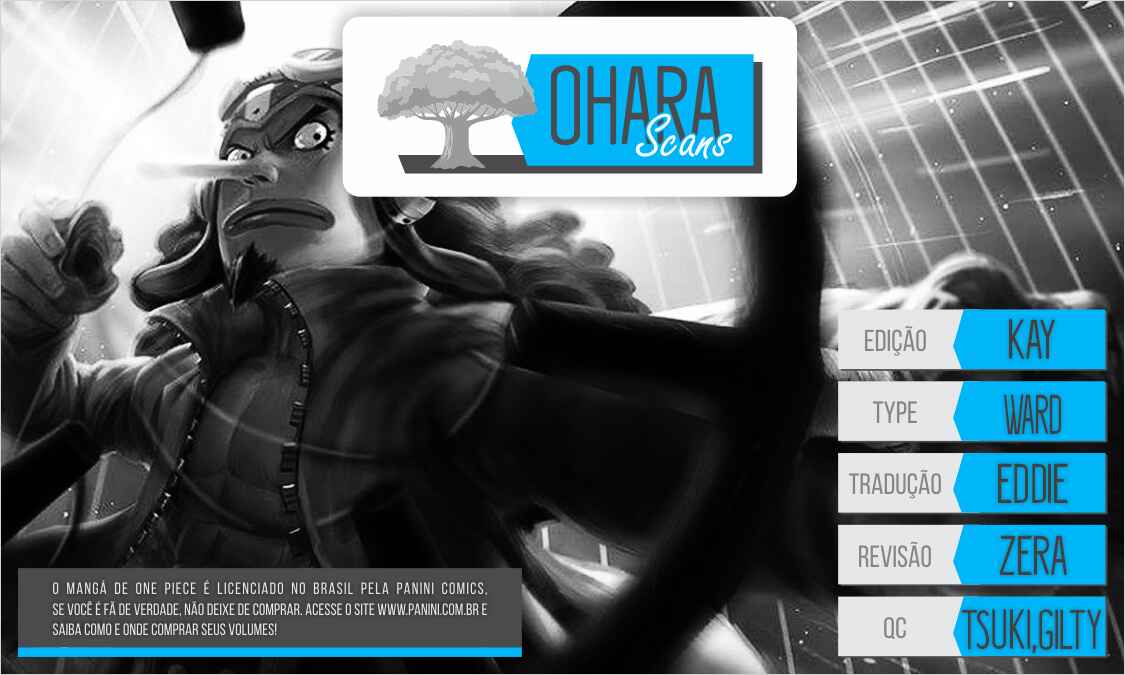 One Piece capítulo 802 página 1
