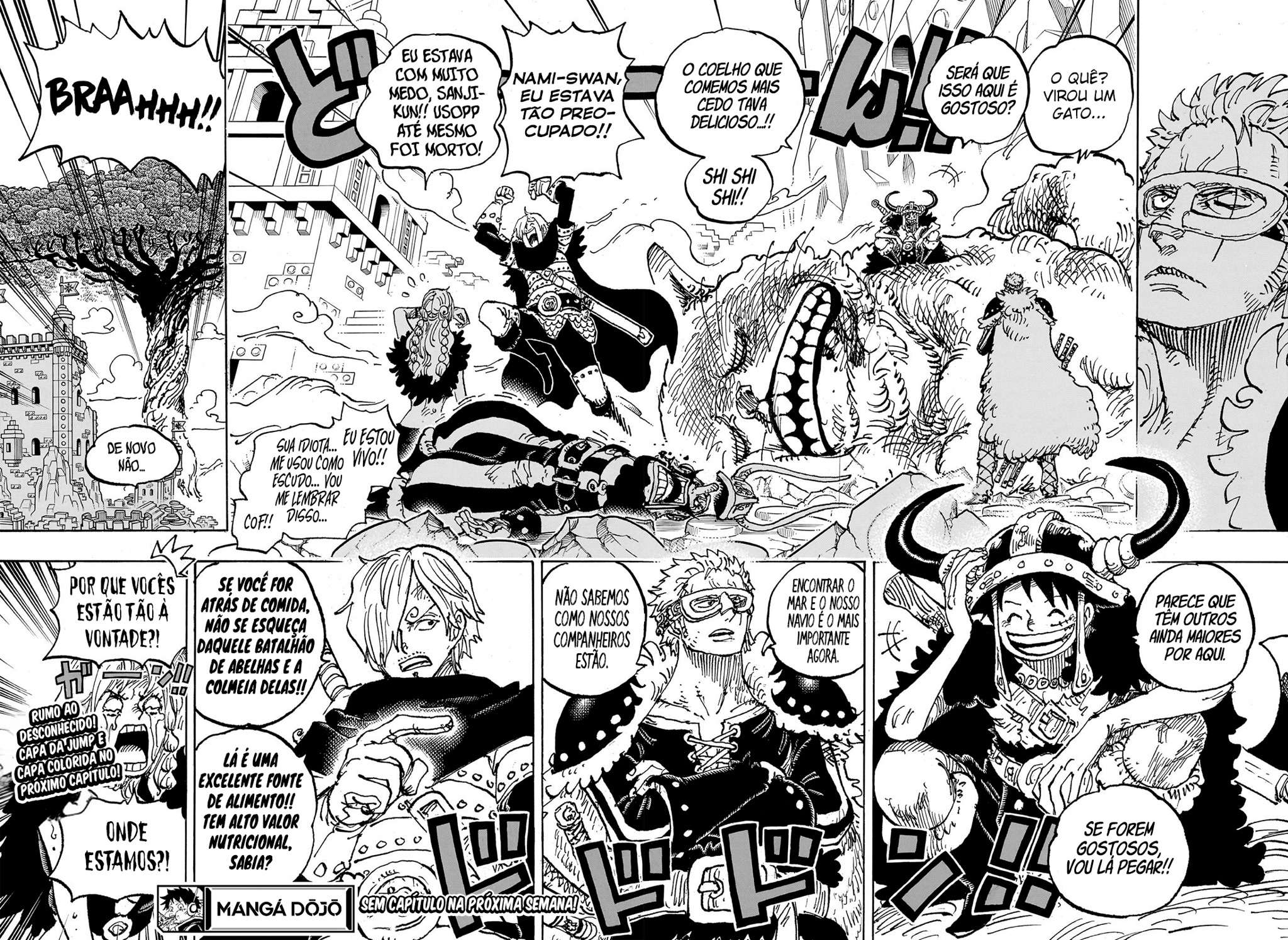 One Piece capítulo 1127 página 14
