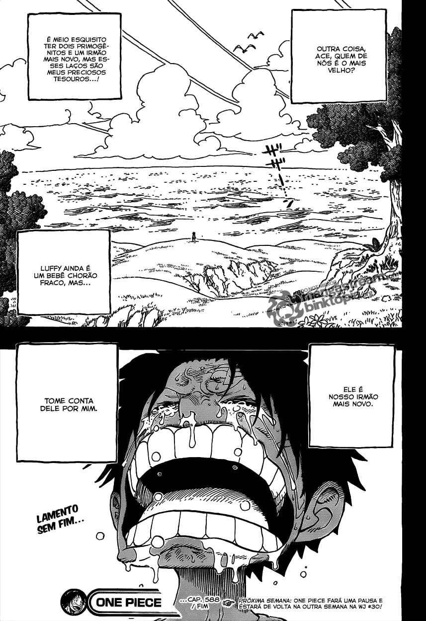 One Piece capítulo 588 página 20