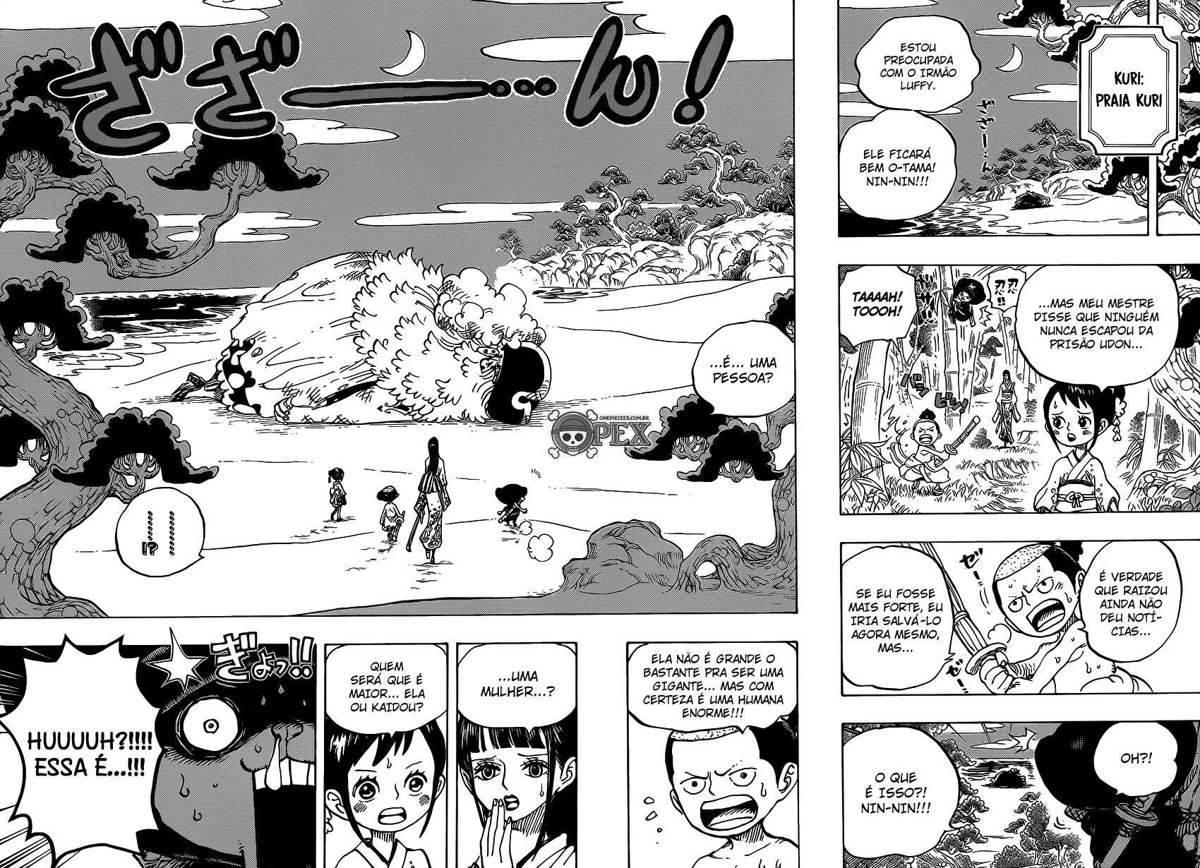 One Piece capítulo 931 página 13