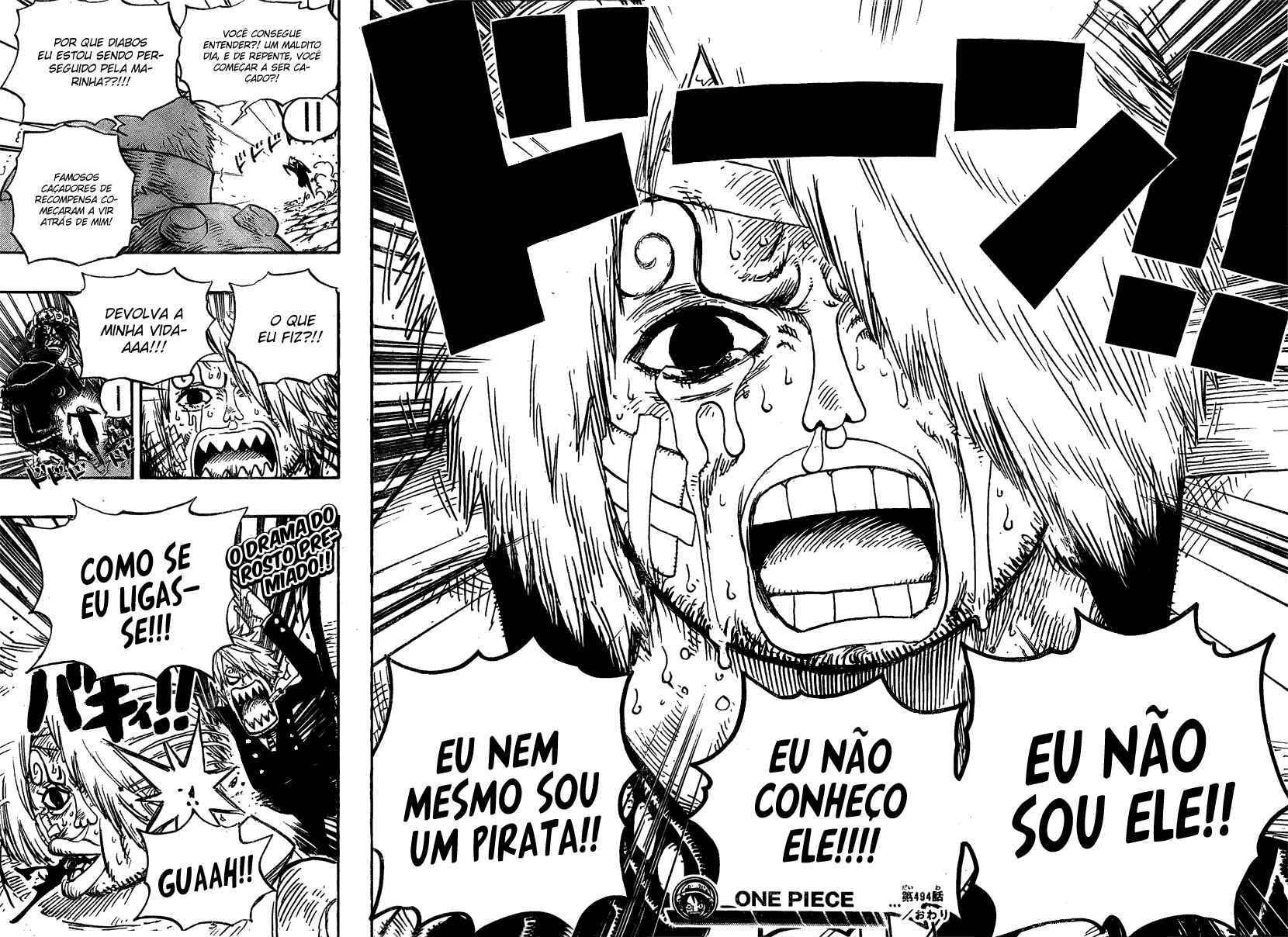 One Piece capítulo 494 página 18