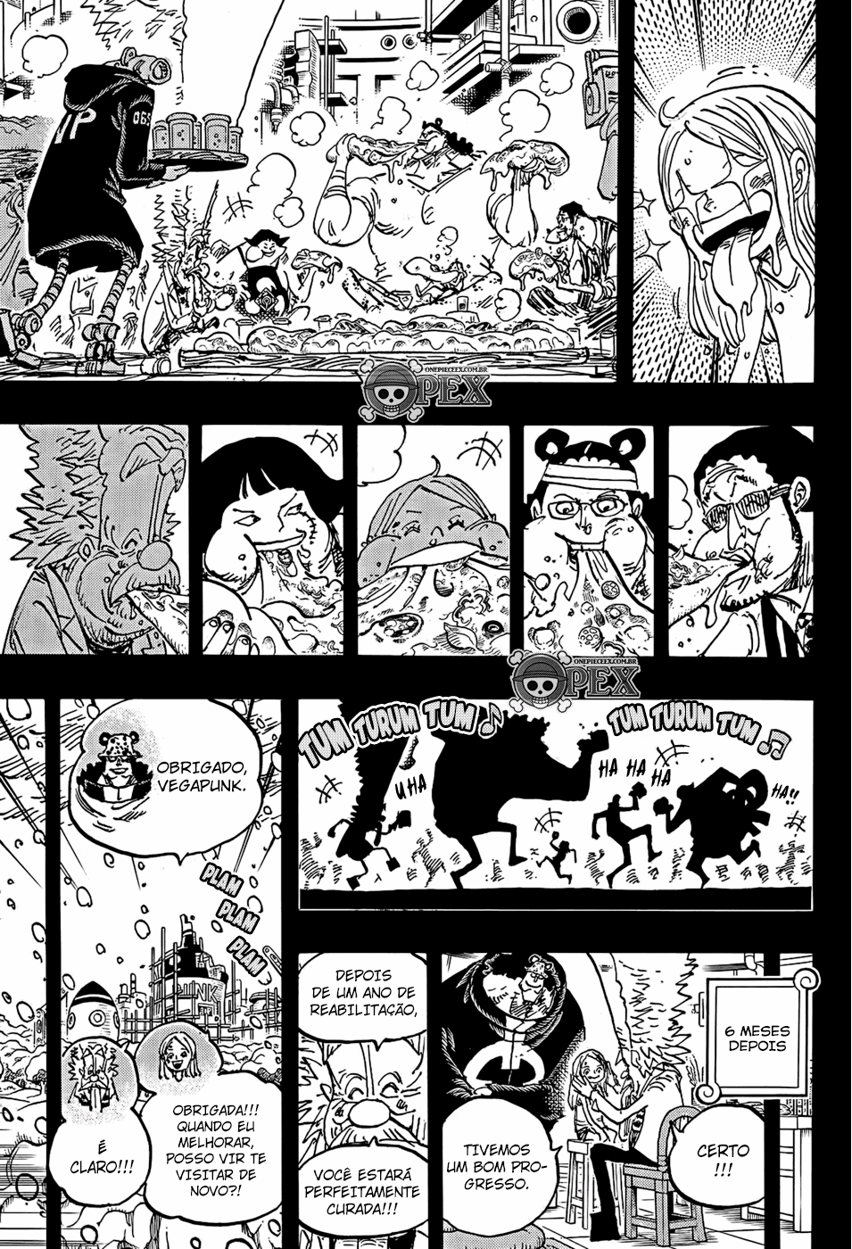 One Piece capítulo 1100 página 11