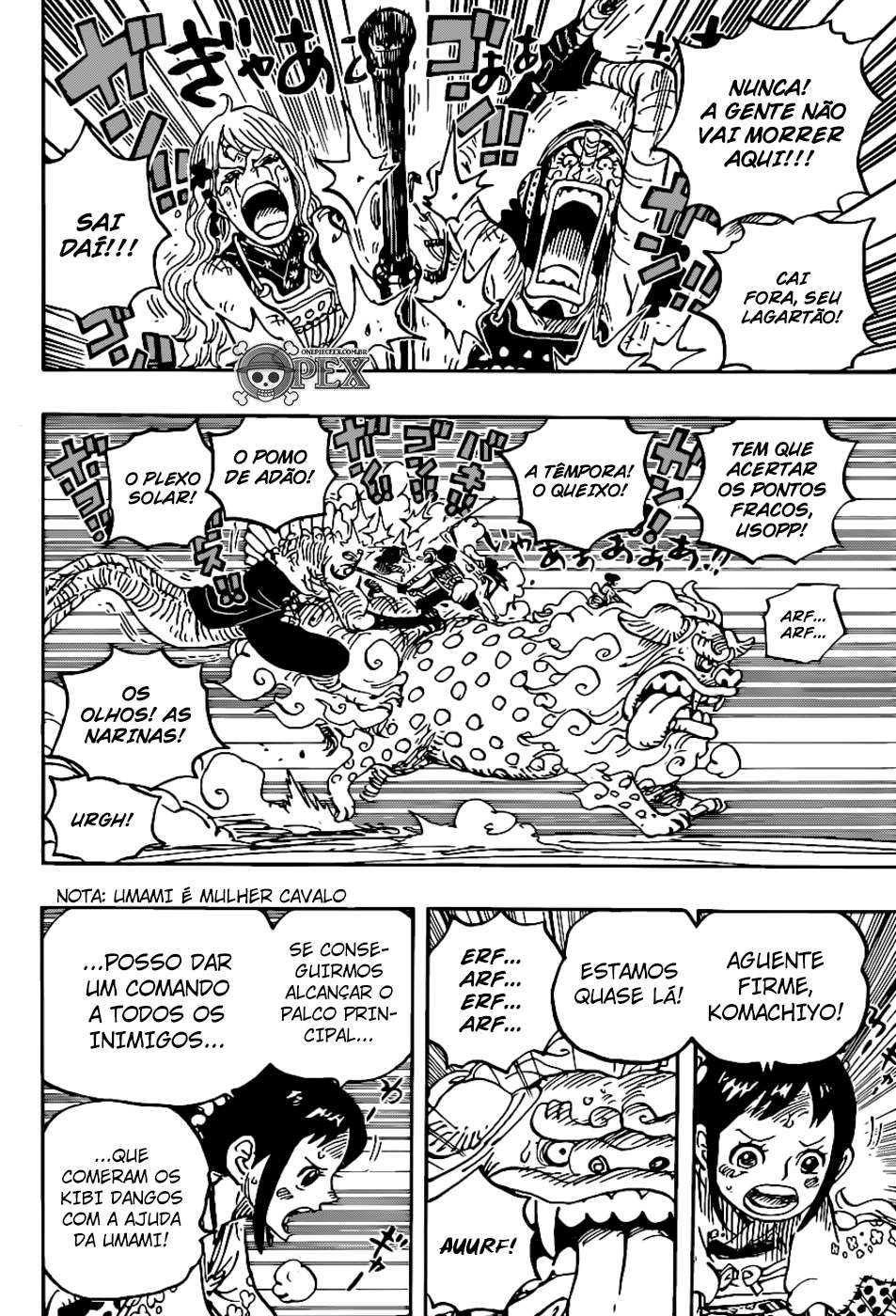 One Piece capítulo 1011 página 12