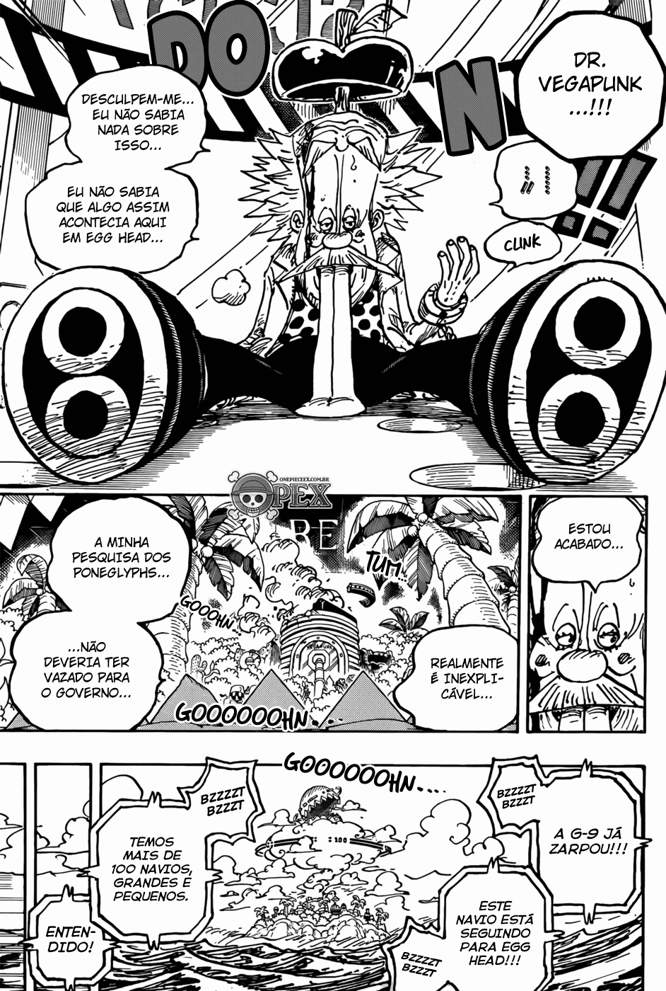 One Piece capítulo 1076 página 10