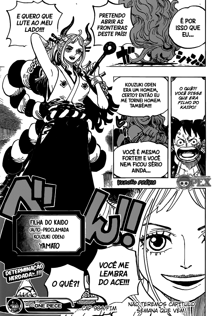 One Piece capítulo 984 página 14