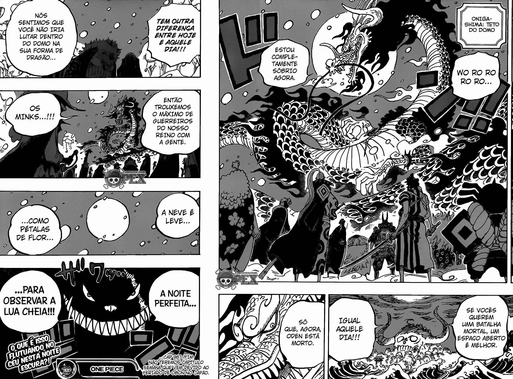 One Piece capítulo 987 página 14