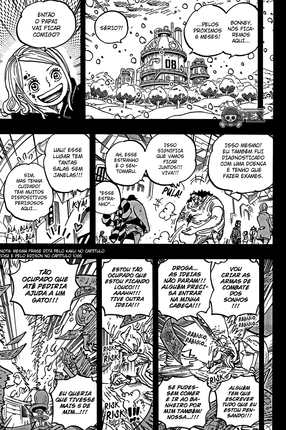 One Piece capítulo 1100 página 9