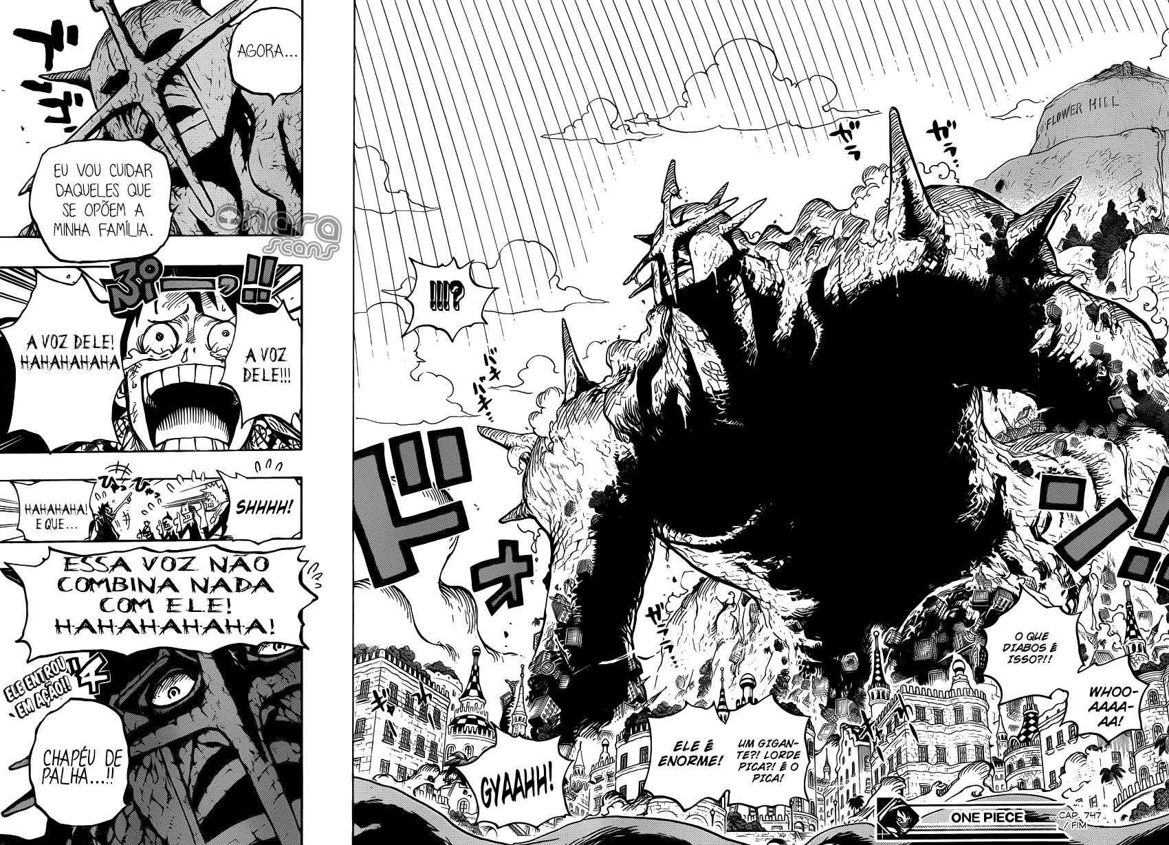 One Piece capítulo 747 página 18