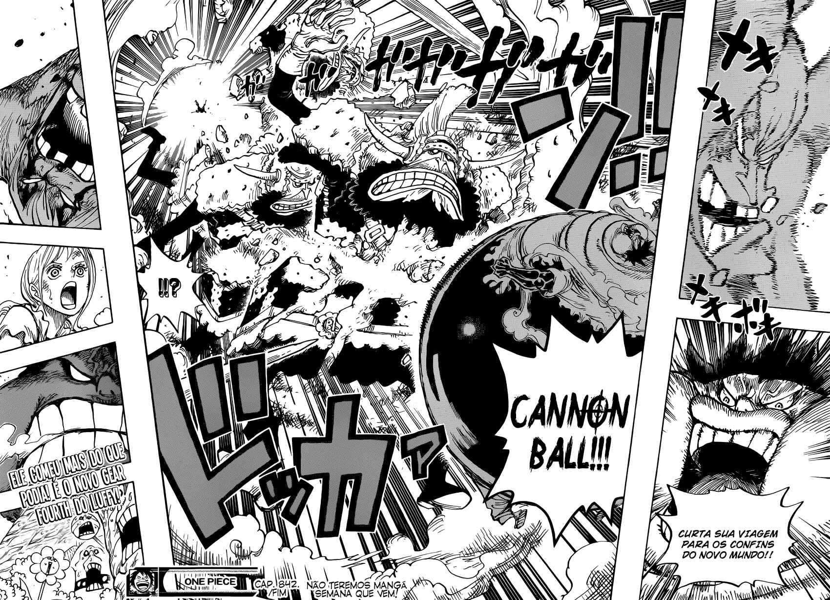 One Piece capítulo 842 página 14