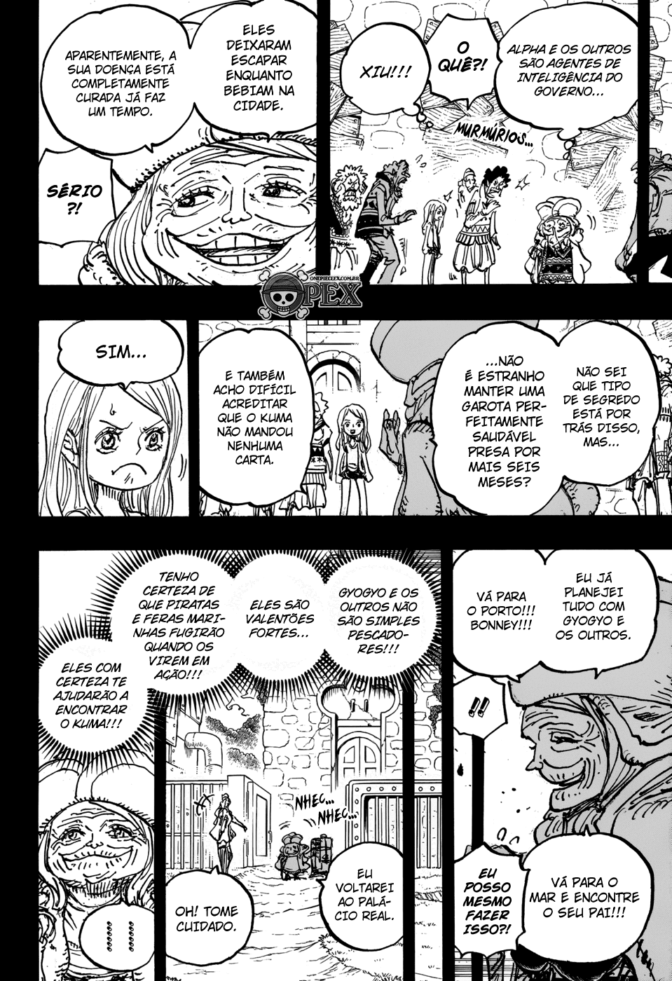 One Piece capítulo 1101 página 14